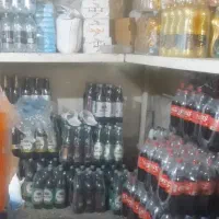 کفتر گمشده