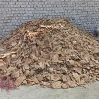 فروش نان خشک