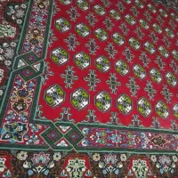 فرش|فرش|گرگان, |دیوار