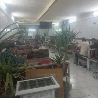 کارگر سفره خانه