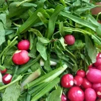 سبزی قرمه و معطر