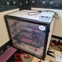 دستگاه جوجه کشی