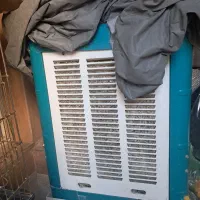 کولرابی۳۲۰۰درحدنو