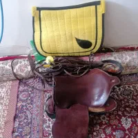 لوازم اسب