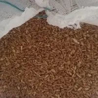 گندم درجه یک