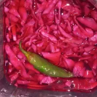 ترشی