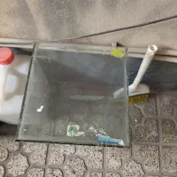 اکواریوم