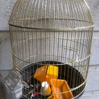 قفس آویز