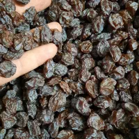 نمایندگی کشمش و مویز شیراز