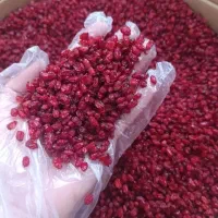 زرشک درجه ۱