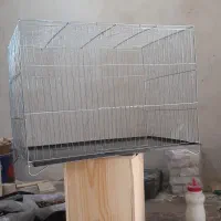 قفس ۵۲ قناری باکفی شارژ کردیم قیمت ۳۵۰۰۰۰ تومن