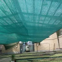 لفاف نماگونی توری شید گلخانه راشل سایبان نخ متقال