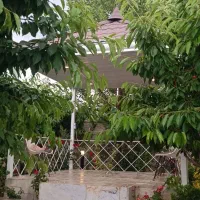 ویلا نوساز آجین دوجین