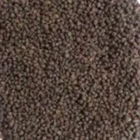 چای کله مورچه ای ۴۵۰