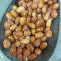 سنجد|گل و گیاه طبیعی|خرمشهر, |دیوار
