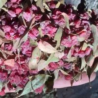 زرشک پفکی زهان،افین