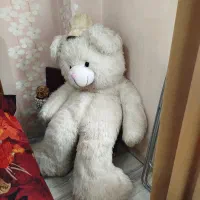 عروسک خرسی
