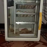 دستگاه جوجه کشی