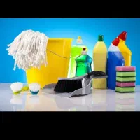 نظافت منزل ب صورت حرفه ای، باب سخت پسندها