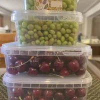 ظرف غدا|ظروف نگهدارنده، پلاستیکی، یکبارمصرف|اراک, |دیوار