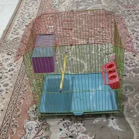 سبد پرنده نو با کلیه وسائل