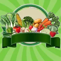بازاریاب خانم