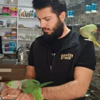 پرنده سرای اسکار