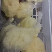 شیرماست محلی وکره محلی