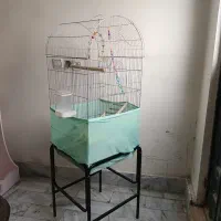 قفس پرنده با پایه