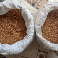 فروش نخود زرد محلی اعلا مناسب بذر