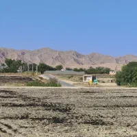 زمین باغی روستای سرطا