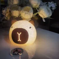 چراغ مطالعه و چراغ خواب