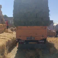 کاه ویونجه