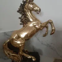 کنارسالنی