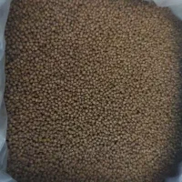غذای ماهی خوراک ماهی کوی و کپور