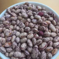 لوبیا‌چیتی‌