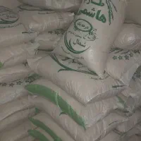 برنج ایرانی طارم هاشمی
