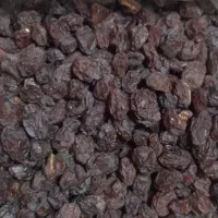 مویز