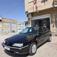 زانتیا ۸۴ بدون آفتاب سوختگی
