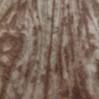 موکت تمیز بدون زدگی