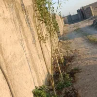 فروش زمین چهاردیواری در ملک اباد