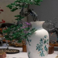 درختچه سیمی آبشاری سبک ژاپنی