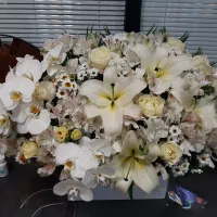 دسته گل|گل و گیاه طبیعی|تهران, فاطمی|دیوار