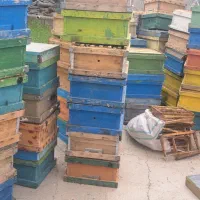 جعبه زنبور+طبق+قاب