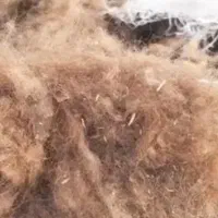 تشک پشمی