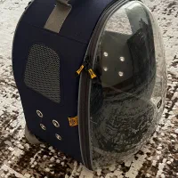 کیف پرنده