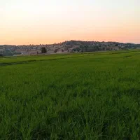 فروش فوری زمین