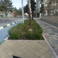 154-متر-زمین-دارای-پروانه-کوچه-16-متری