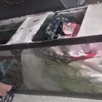 اکواریوم بزرگ