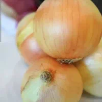 خرید فروش پیاز ..